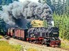 Mit Volldampf durch den Harz
